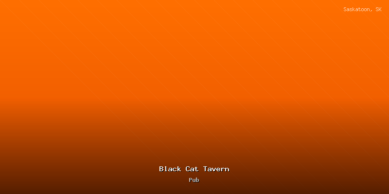 Black Cat Tavern