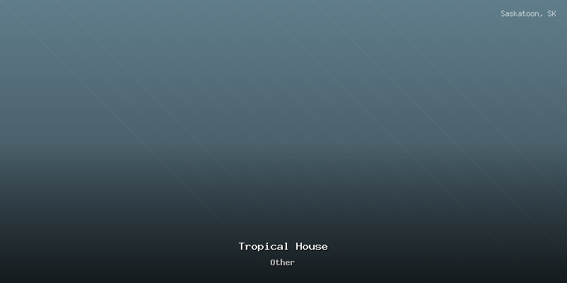 Tropical House